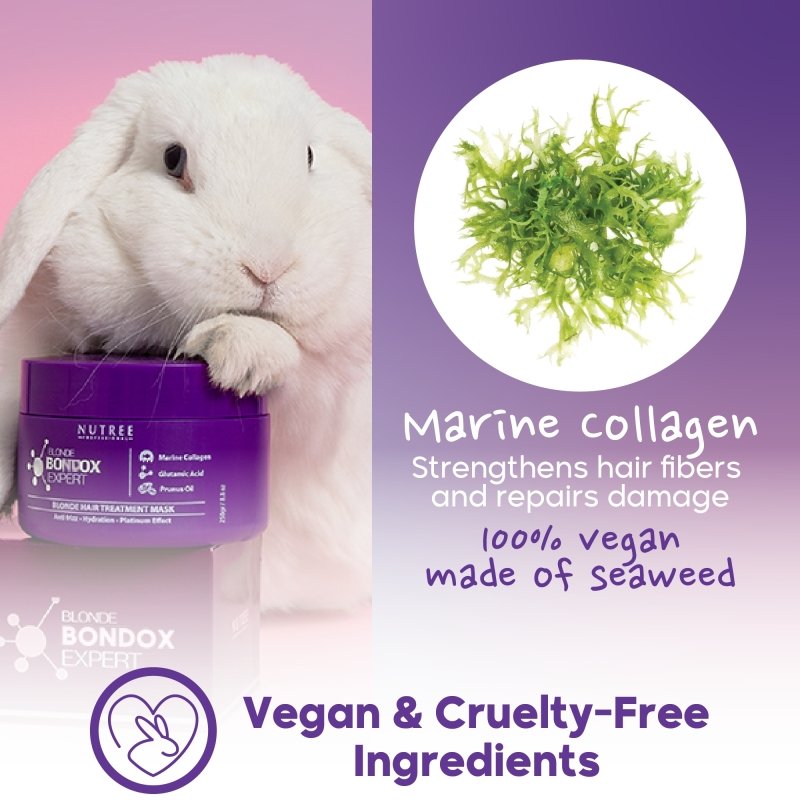 Blonde Ехреrt ﻿Hаir﻿ Маsk Purple Toning Mask 33.8 fl.o / 1 kg - Nutree Cosmetics