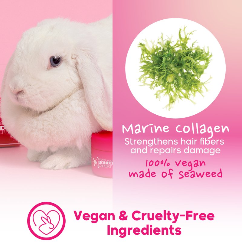 Brazilian Bondox Hair Expert Mask Sample 1 pc - Nutree Cosmetics